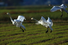 今日の朝食場所