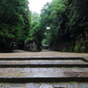 雨が呼ぶ静寂