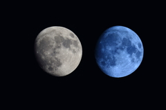 月齢12.4　
