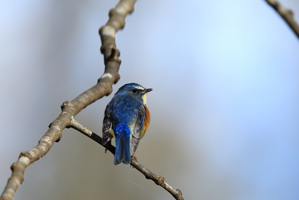 いやいやお久し振りです