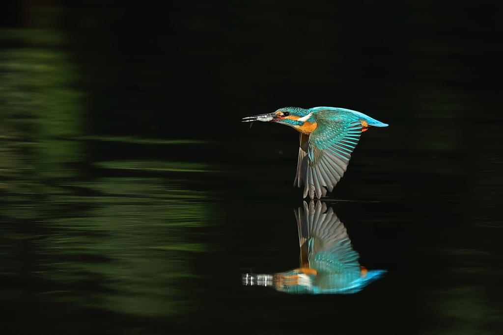 水鏡に難あり