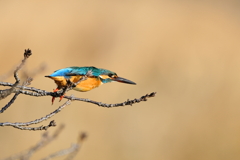 大晦日は無関係　2