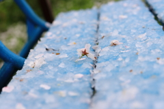 湿雪の悪戯に拾う