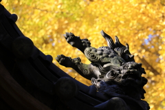 獅子