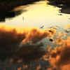 川面夕暮れ