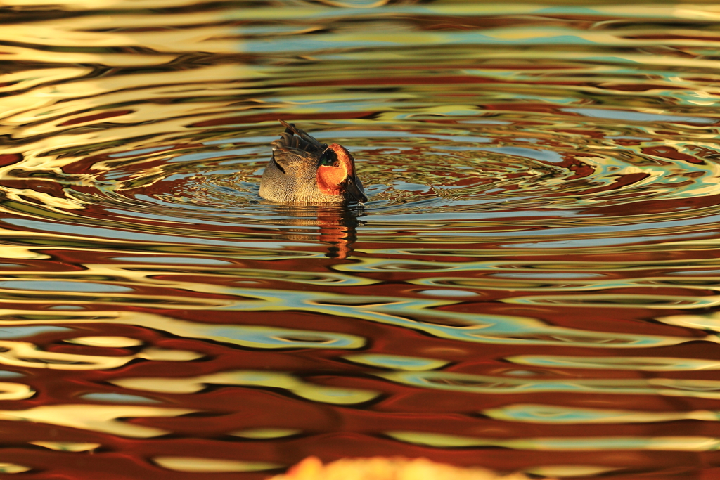 光が溶けた其の中で　３
