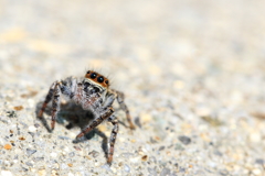 みんな眼・眼・眼