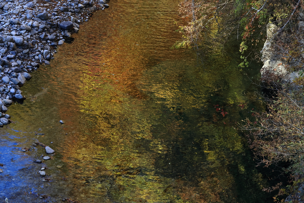 川面の秋色
