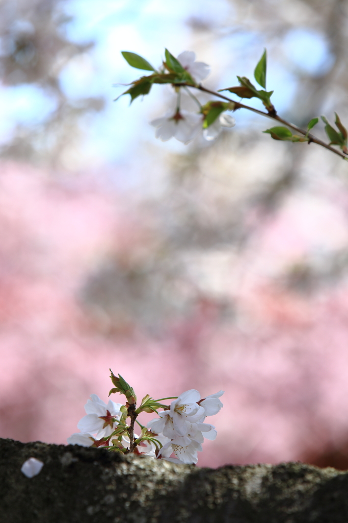 背景色合い