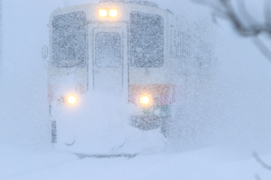運休は　「しない」
