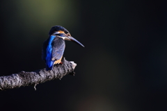 大晦日は無関係