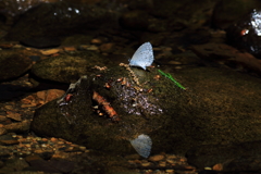 あれっ