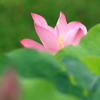 重なりの先で