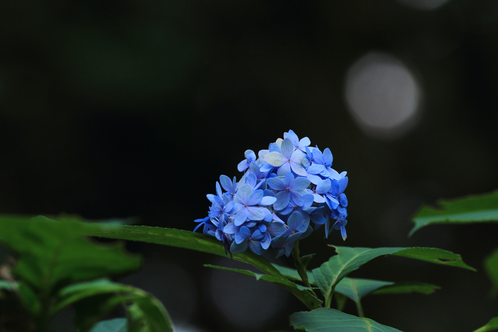 頑張ってます