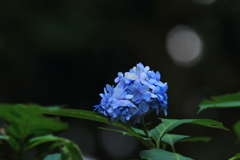 頑張ってます