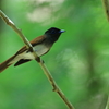 ♀さん接近