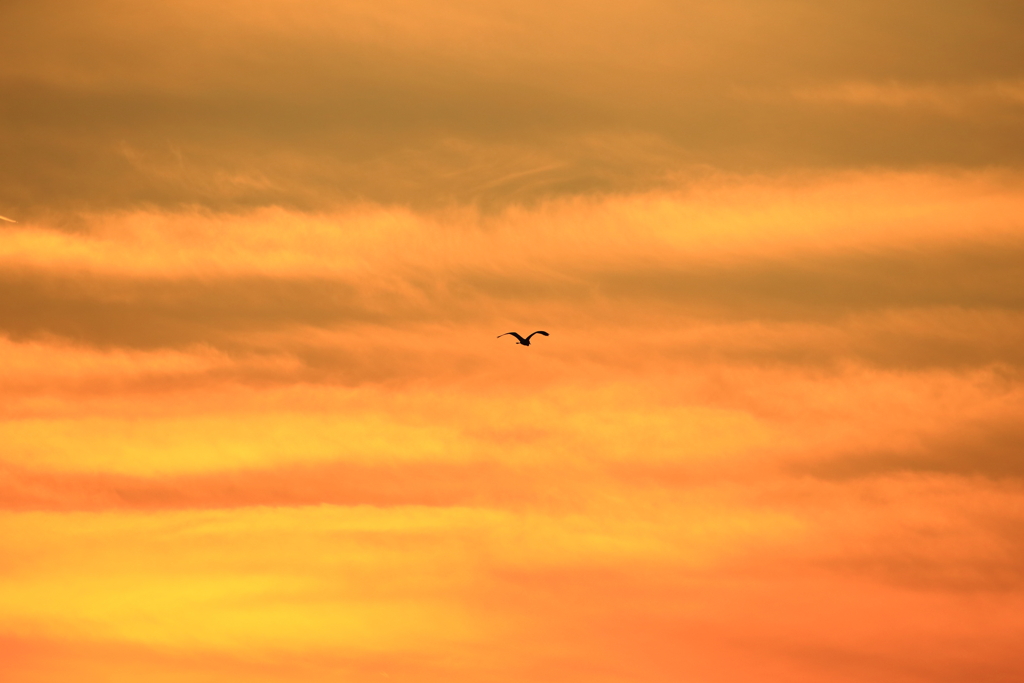 橋上　夕焼け小焼け