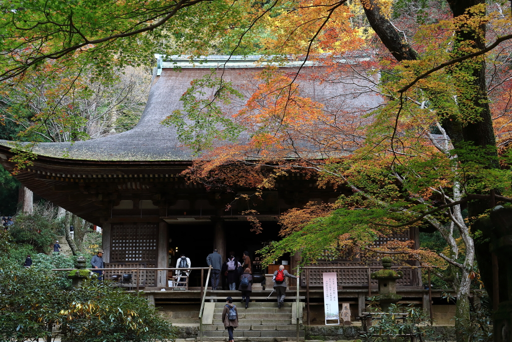 室生寺魅了