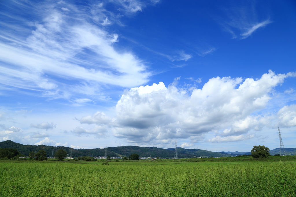 抜けた空のよう