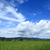 抜けた空のよう