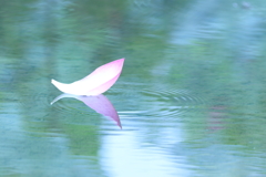 吹かれ漂う