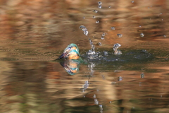 水膜