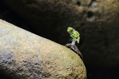 しっー　しずかに