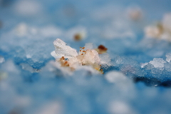 湿雪の悪戯に拾う　2