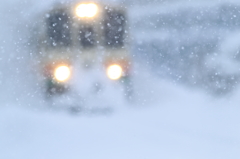 ぼた雪の中