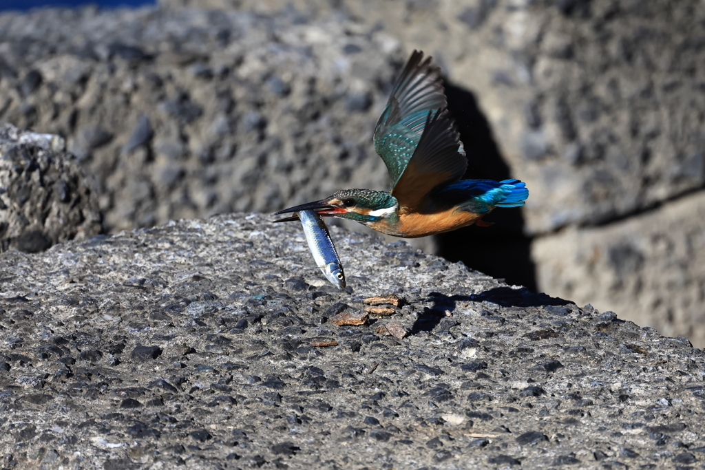 chrismas me presents　2