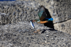 chrismas me presents　2