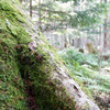 DSC09083