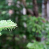DSC09082