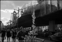 20131212 LeicaM4-P summaron35 np100 spd 