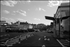 20131212 LeicaM4-P summaron35 np100 spd 