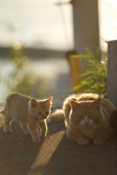 孫とじいちゃん。