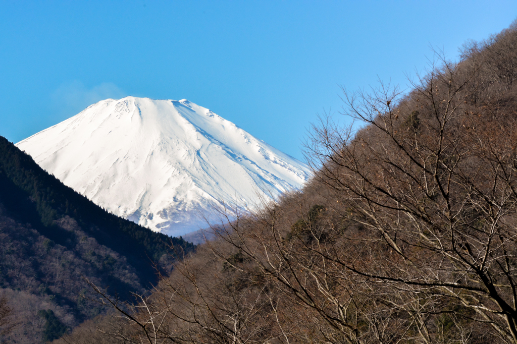 久々に富士山