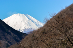 久々に富士山