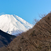 久々に富士山