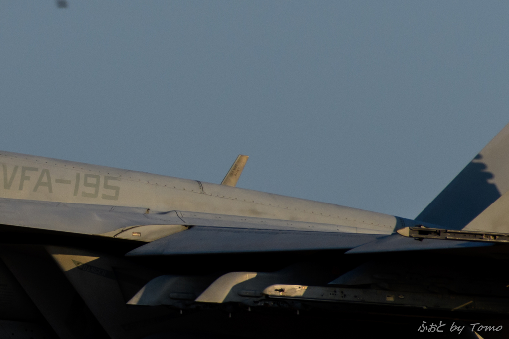 今年の目標その2