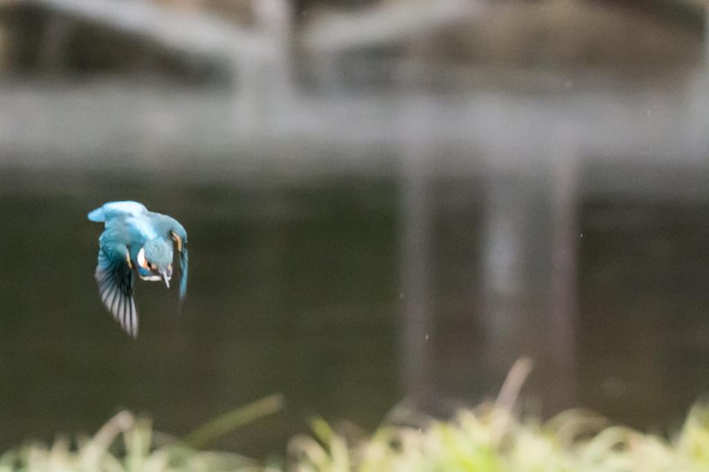 見せてもらおうか、三脚の実力とやらを？