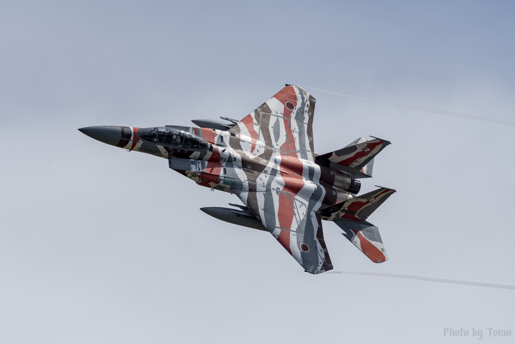 アグレスローカル上がり 1