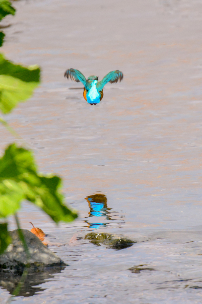 嘲笑するかのように・・・