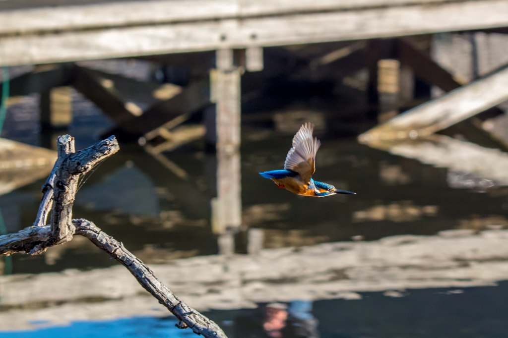 よし、いくよ！