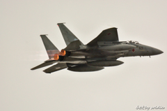 エアフェスタ浜松2015 F-15