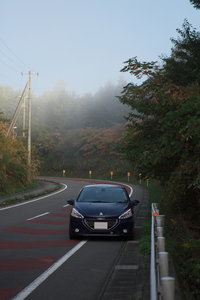 朝モヤのワインディング