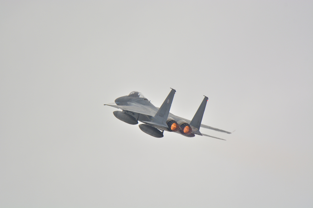 静浜航空祭 F-15 ①