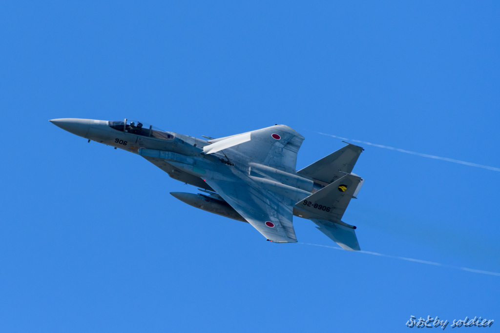2016A･F浜松_F-15 ⑥