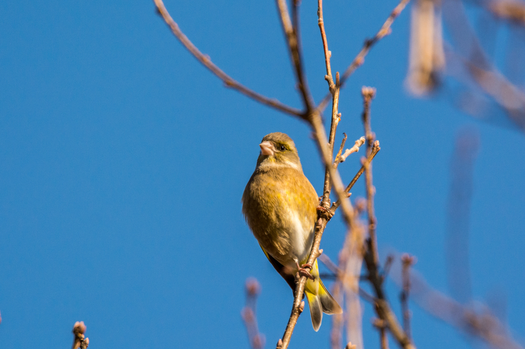 彫りが深くて奥二重？