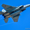 岐阜基地航空祭2015　F-15　④